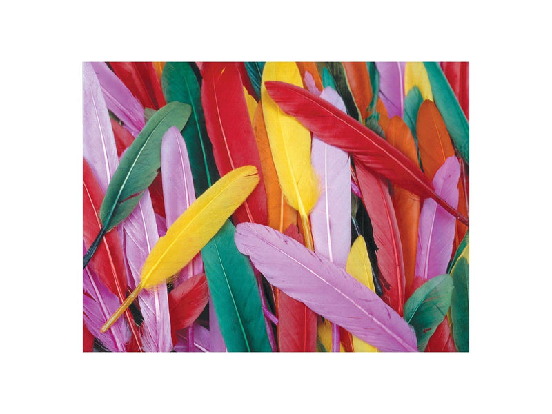 Colorations - Colored Duck Feathers 28.5 grams
