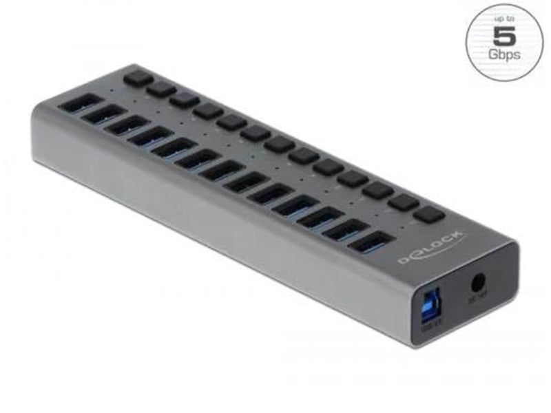 DeLOCK - hub - 13 ports USB-Hubs - USB 3.0 - 13 - Grau