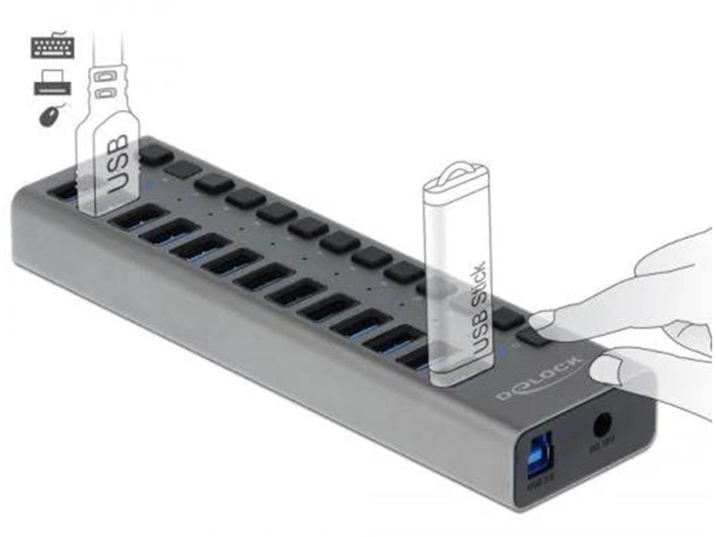 DeLOCK - hub - 13 ports USB-Hubs - USB 3.0 - 13 - Grau