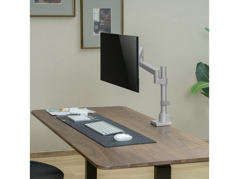 Alterzone  Arm Ascend Einzel-Monitorarm, Silber