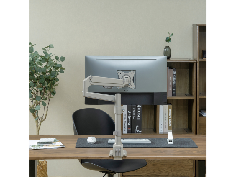 Alterzone  Arm Ascend Einzel-Monitorarm, Silber