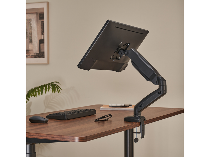 Alterzone  Arm Shadow Einzel-Monitorarm, Schwarz