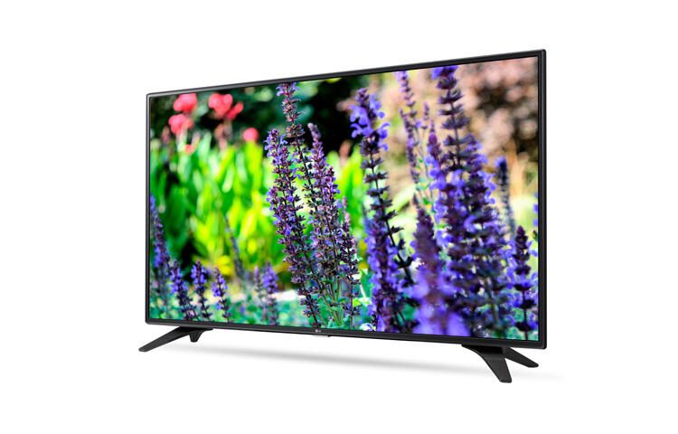 LG Hospitality Display 43LW340C LED-TV 109 cm (43') schwarz