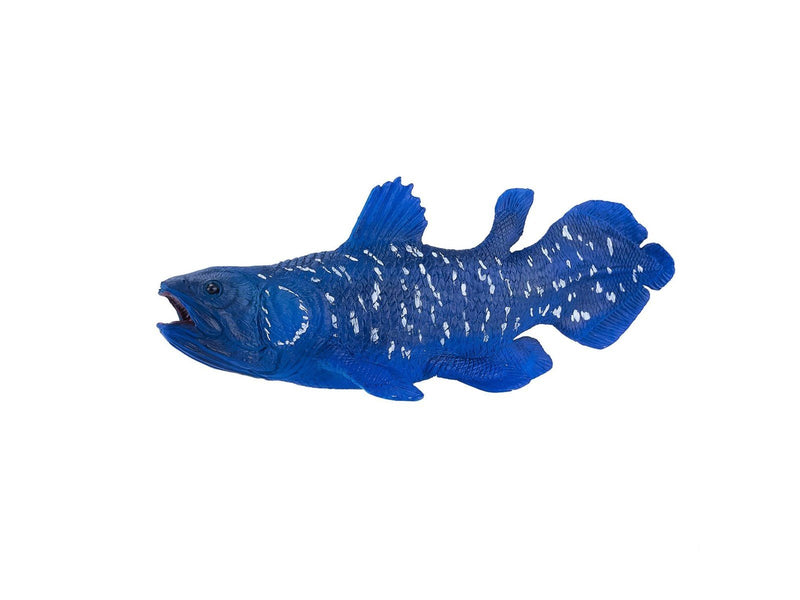 Mojo Sealife Coelacanth