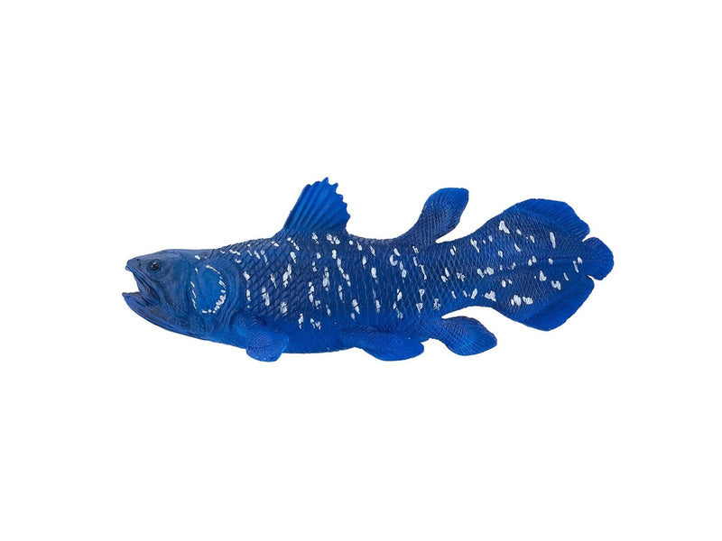 Mojo Sealife Coelacanth