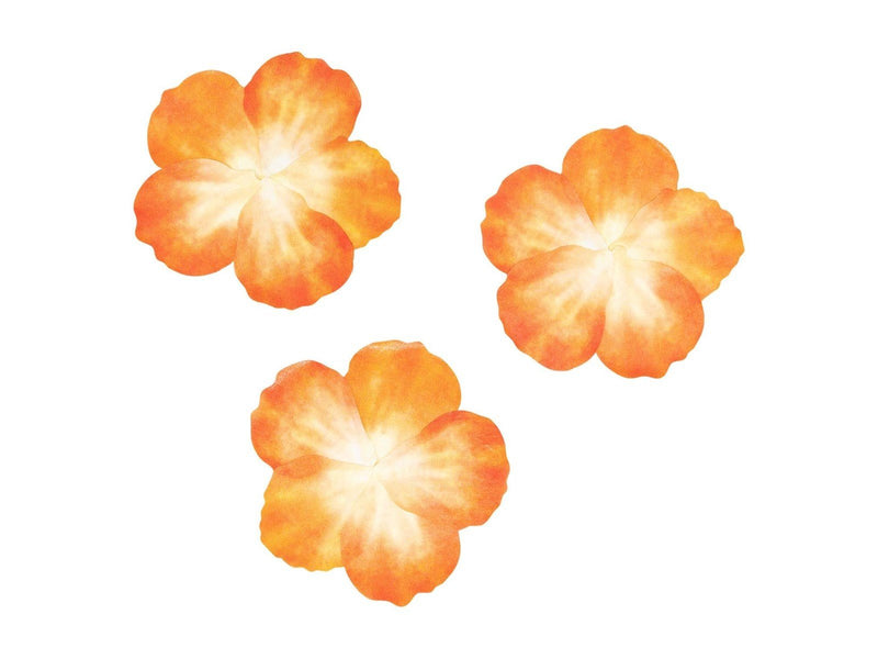 Colorations Washi Stickers - Orange Petals 80pcs.