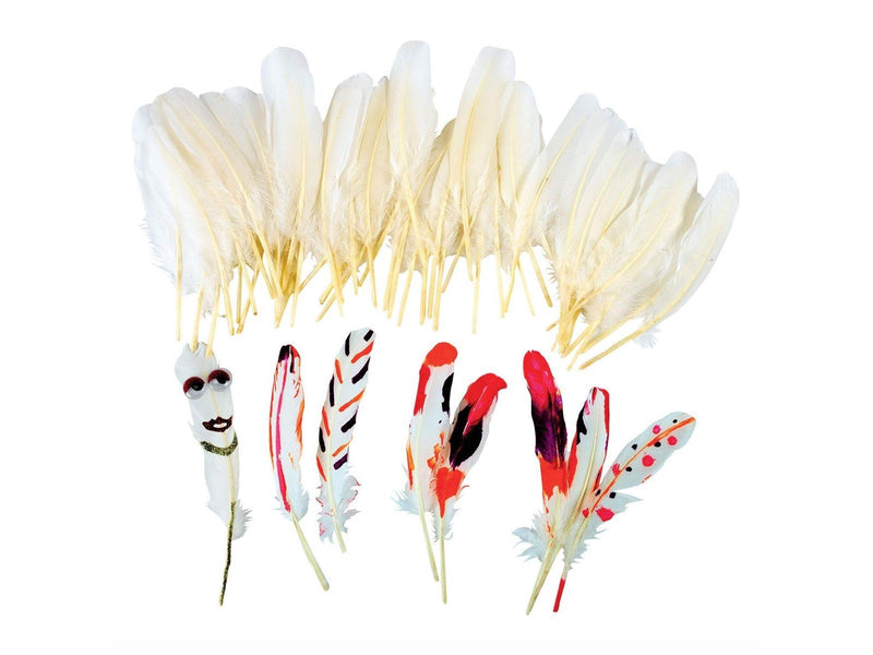Colorations - White Feathers 48pcs.