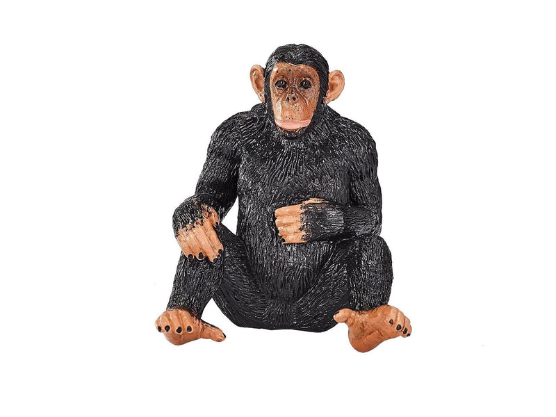 Mojo Wildlife Chimpanzee