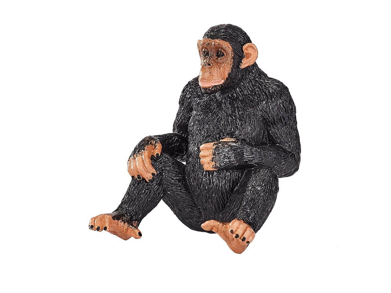 Mojo Wildlife Chimpanzee