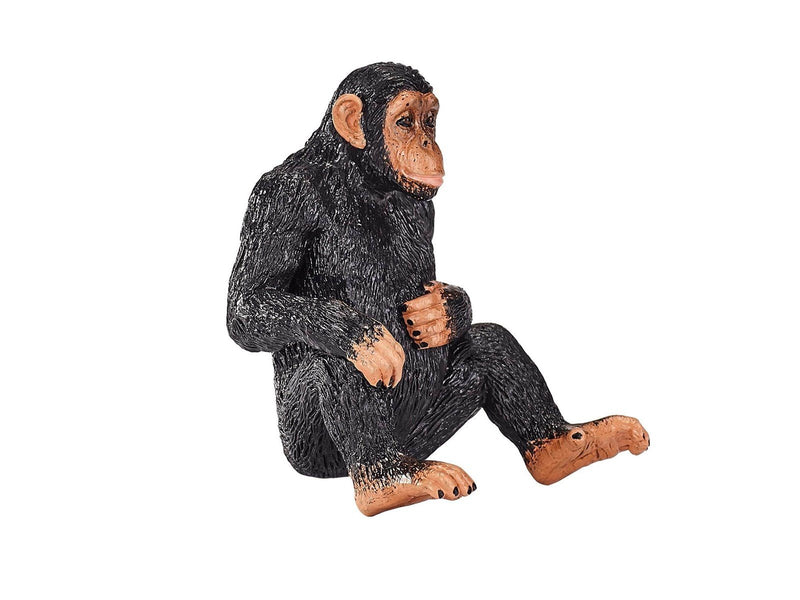 Mojo Wildlife Chimpanzee