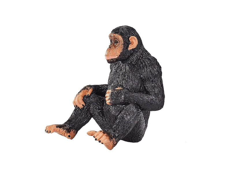 Mojo Wildlife Chimpanzee
