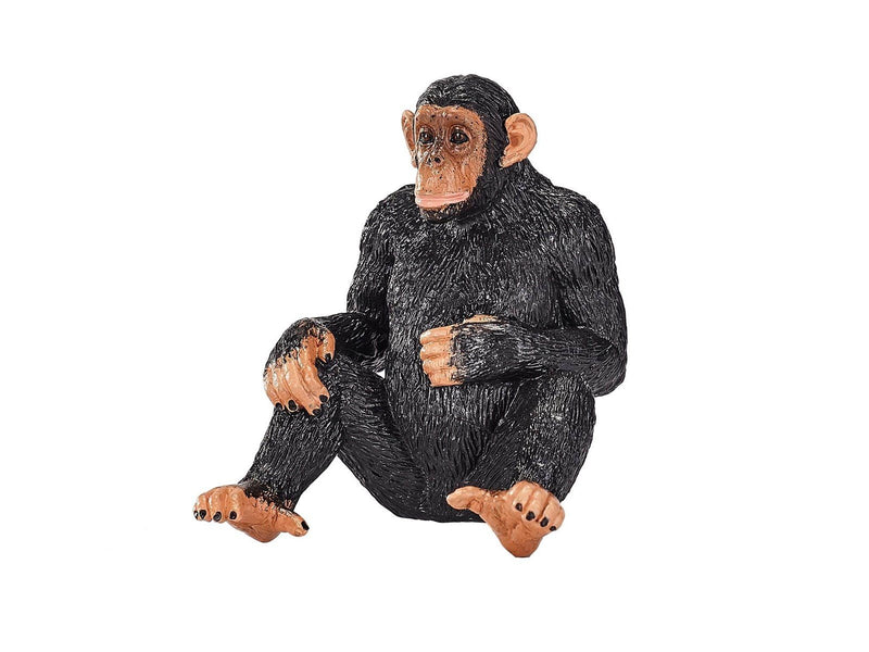 Mojo Wildlife Chimpanzee