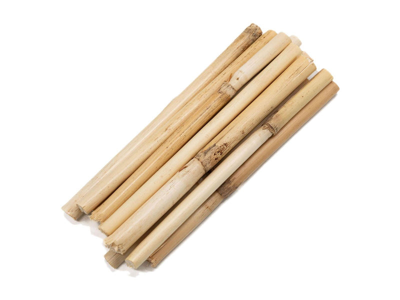 Colorations - Short Bamboo Sticks 10-12cm 10 pcs.