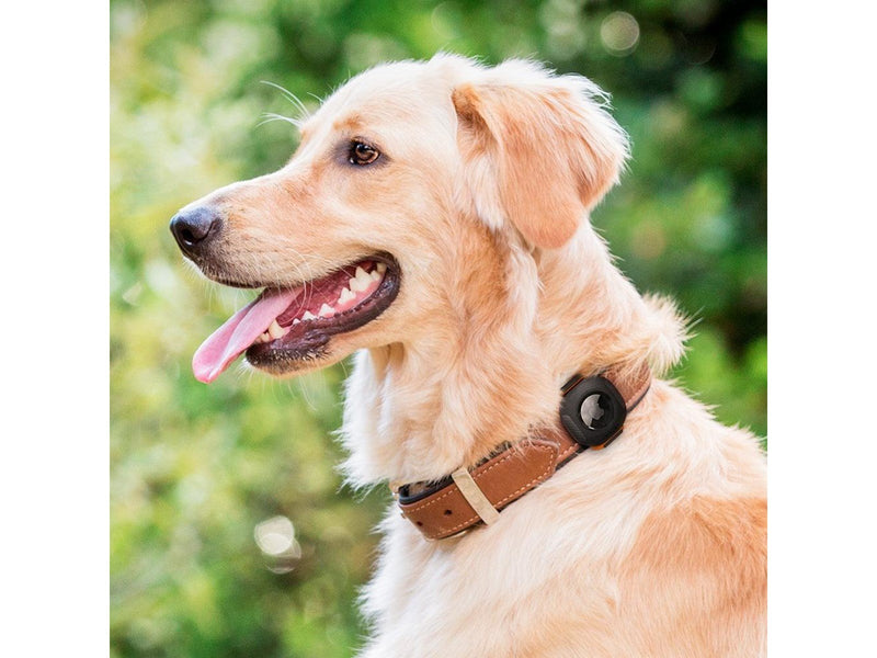 Spigen Pet Collar - black - AirTag