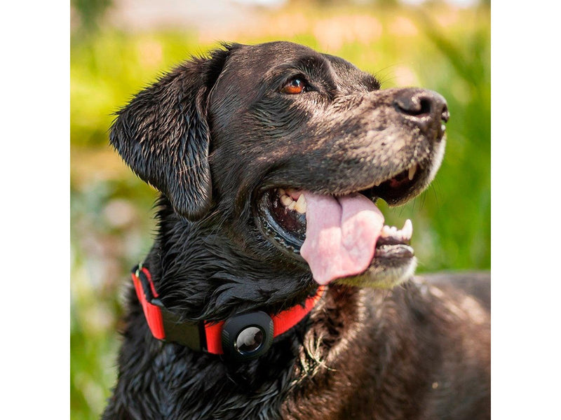 Spigen Pet Collar - black - AirTag