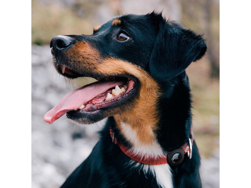 Spigen Pet Collar - black - AirTag