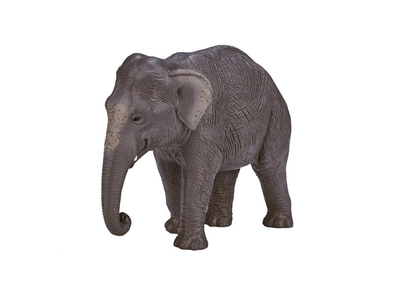 Mojo Wildlife Asian Elephant - 387266