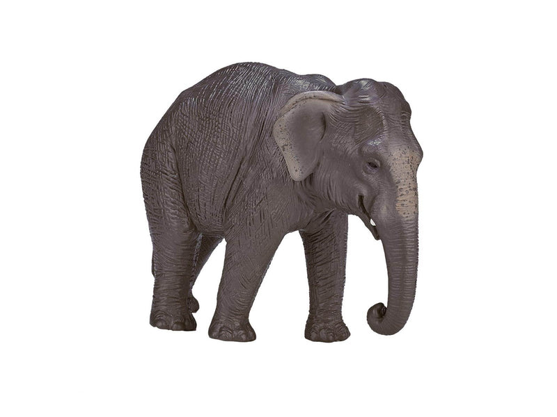 Mojo Wildlife Asian Elephant - 387266
