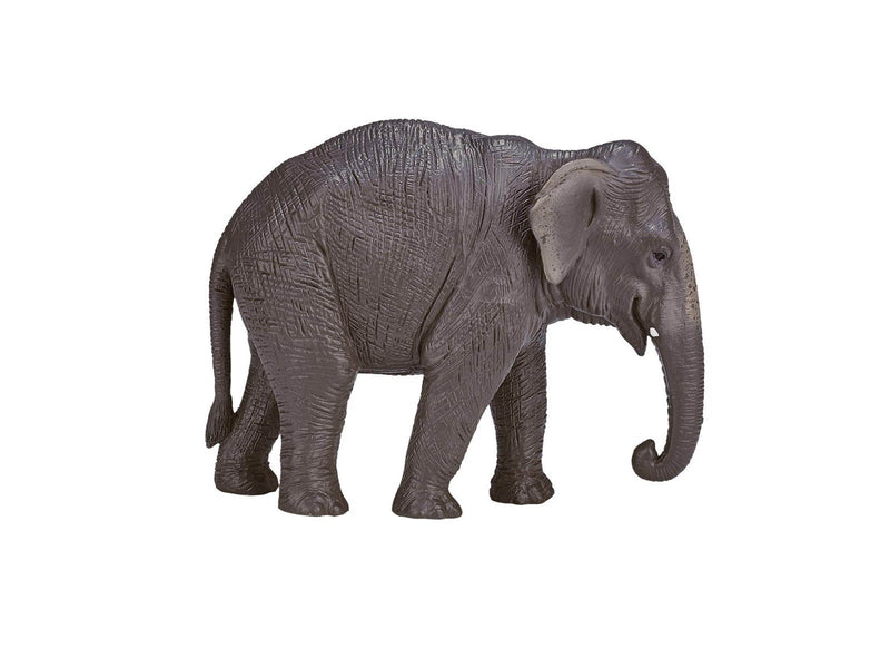 Mojo Wildlife Asian Elephant - 387266