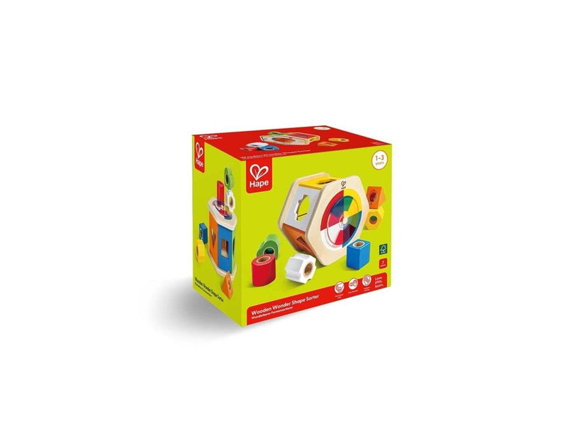 Hape Color Matching And Shape Sorting Box