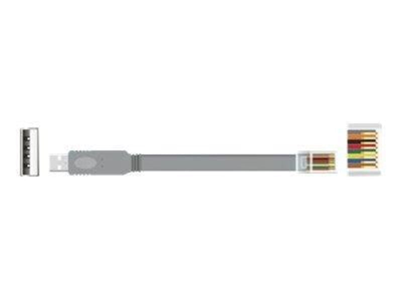 DeLOCK Serial Cable - 50 cm - Grey - Schwarz - 0.5 meter