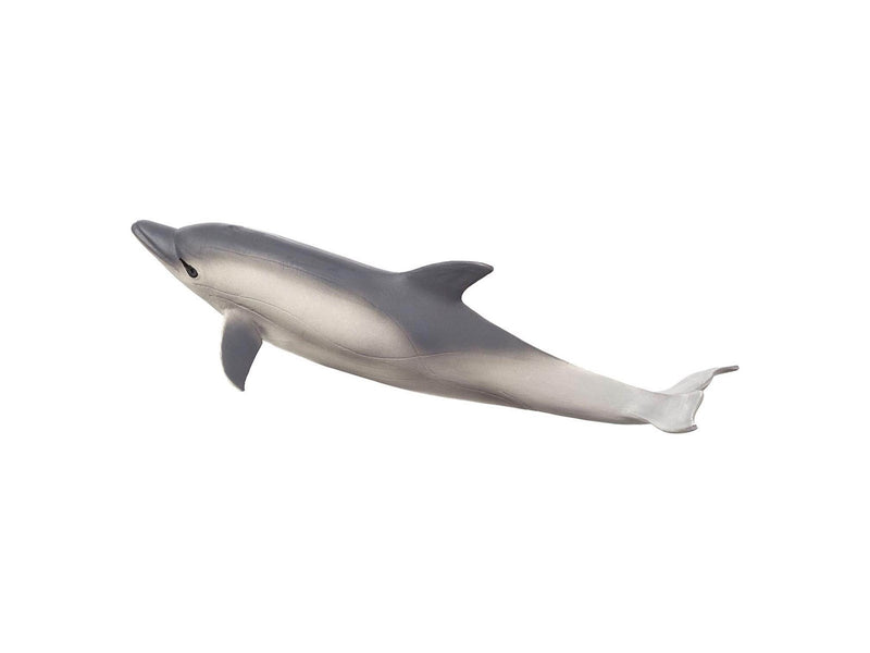 Mojo Sealife Common Dolphin