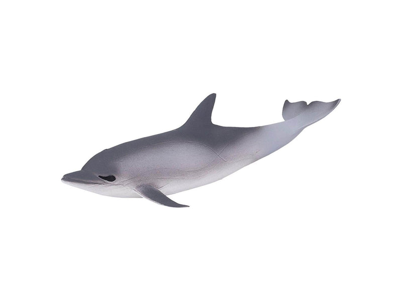 Mojo Sealife Common Dolphin