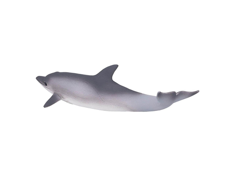 Mojo Sealife Common Dolphin