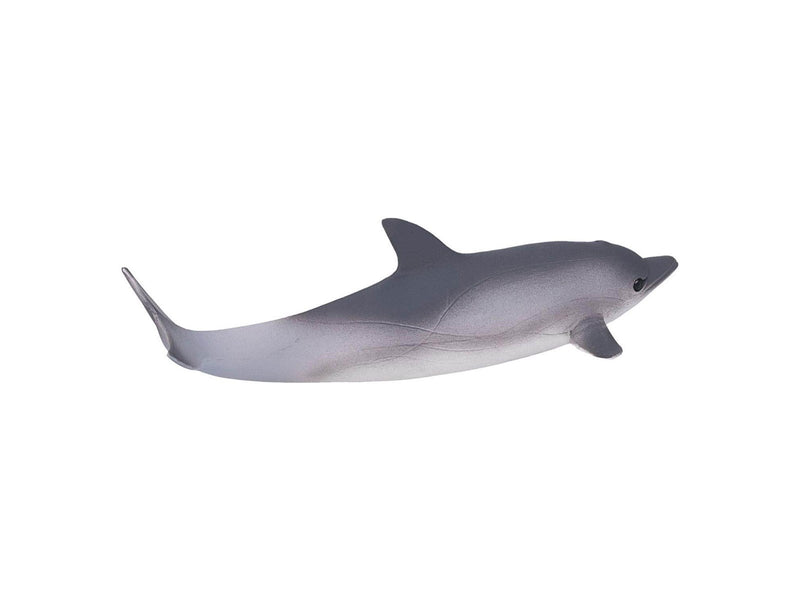 Mojo Sealife Common Dolphin
