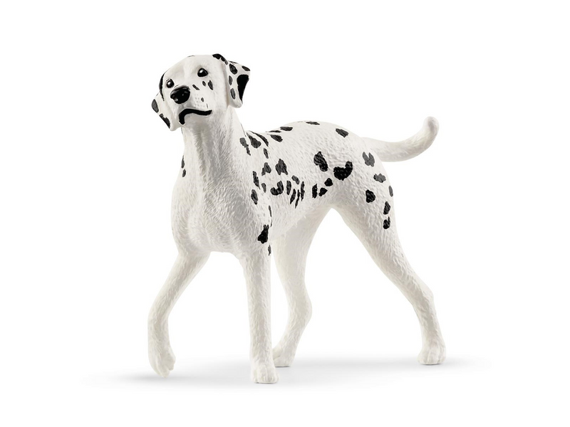 Schleich Reitplatz