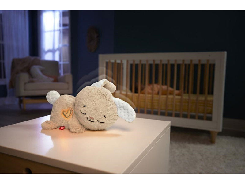 Fisher Price Soothe & Settle Bunny