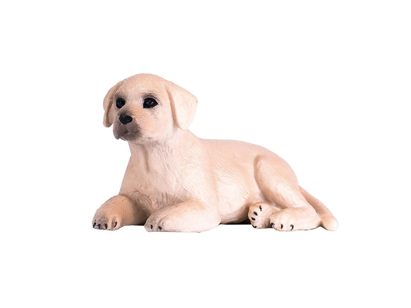 Mojo Farmland Labrador Puppy - 387272