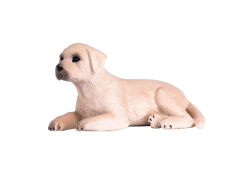 Mojo Farmland Labrador Puppy - 387272