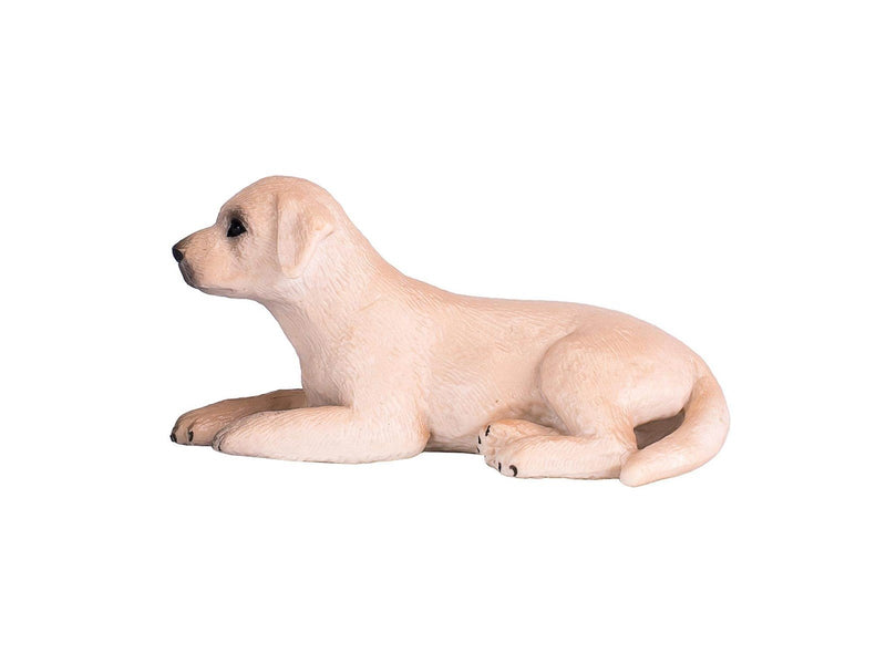 Mojo Farmland Labrador Puppy - 387272