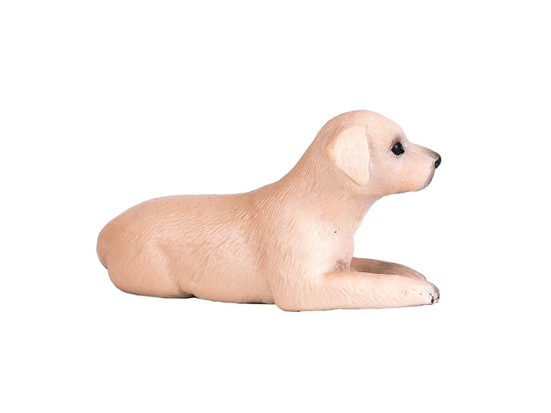 Mojo Farmland Labrador Puppy - 387272