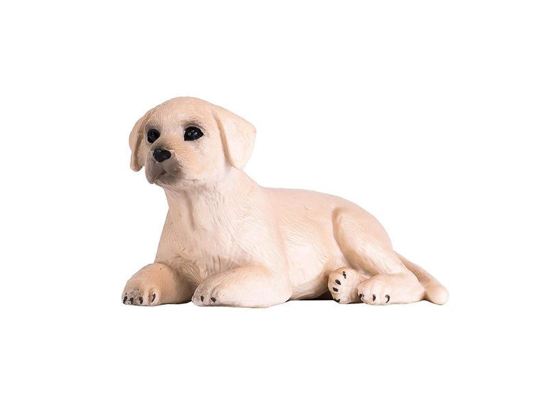 Mojo Farmland Labrador Puppy - 387272