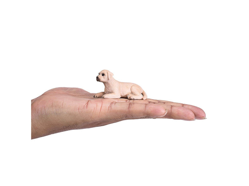 Mojo Farmland Labrador Puppy - 387272
