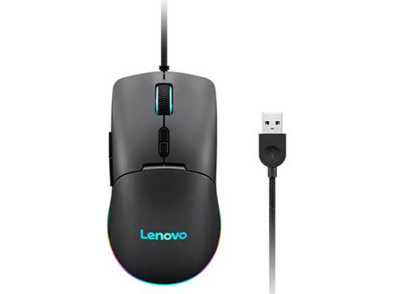 Lenovo M210 RGB - Maus (Grau)