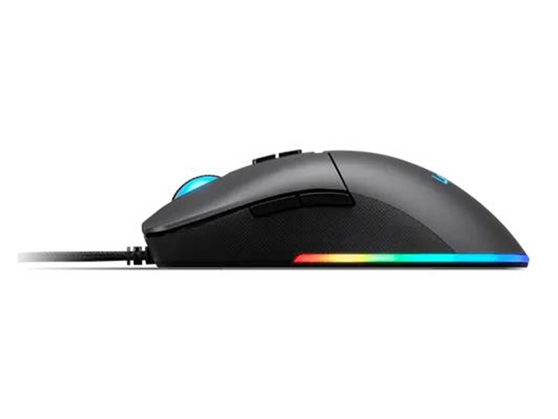 Lenovo M210 RGB - Maus (Grau)