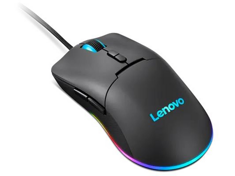 Lenovo M210 RGB - Maus (Grau)