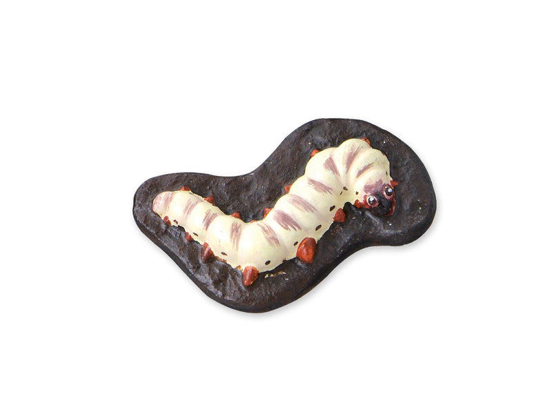 SES Creative Children's Scary Animals Glow in the Dark Casting and Painting Set