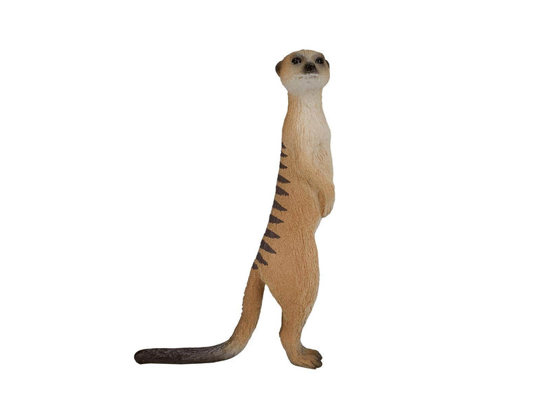 Mojo Wildlife Meerkat