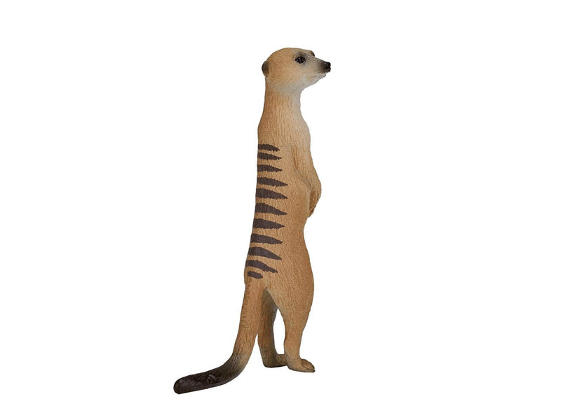 Mojo Wildlife Meerkat