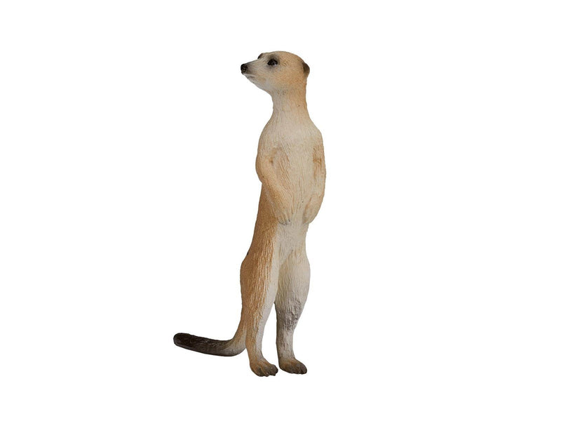 Mojo Wildlife Meerkat