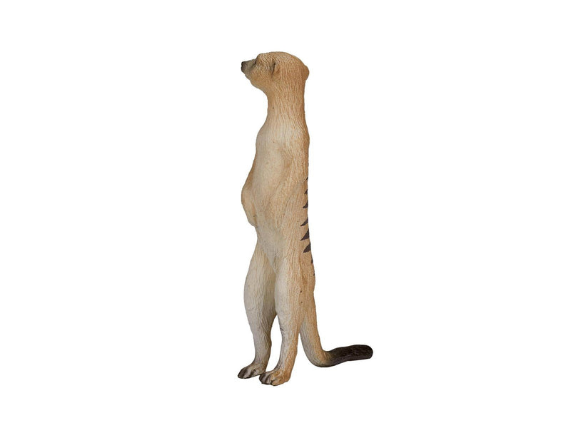 Mojo Wildlife Meerkat