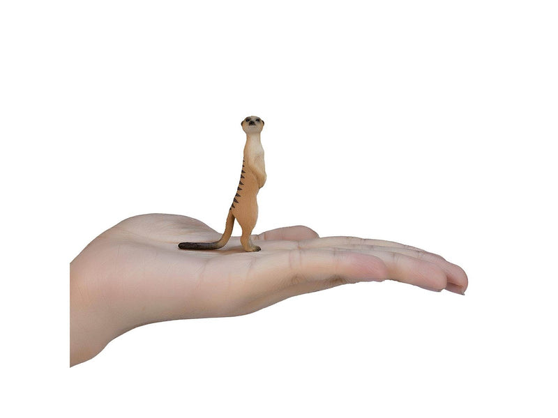Mojo Wildlife Meerkat