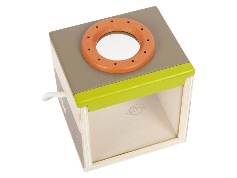Small Foot - Wooden Insect Box Discover