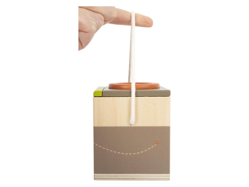 Small Foot - Wooden Insect Box Discover
