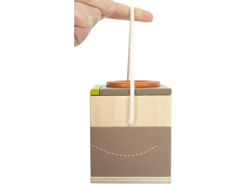 Small Foot - Wooden Insect Box Discover