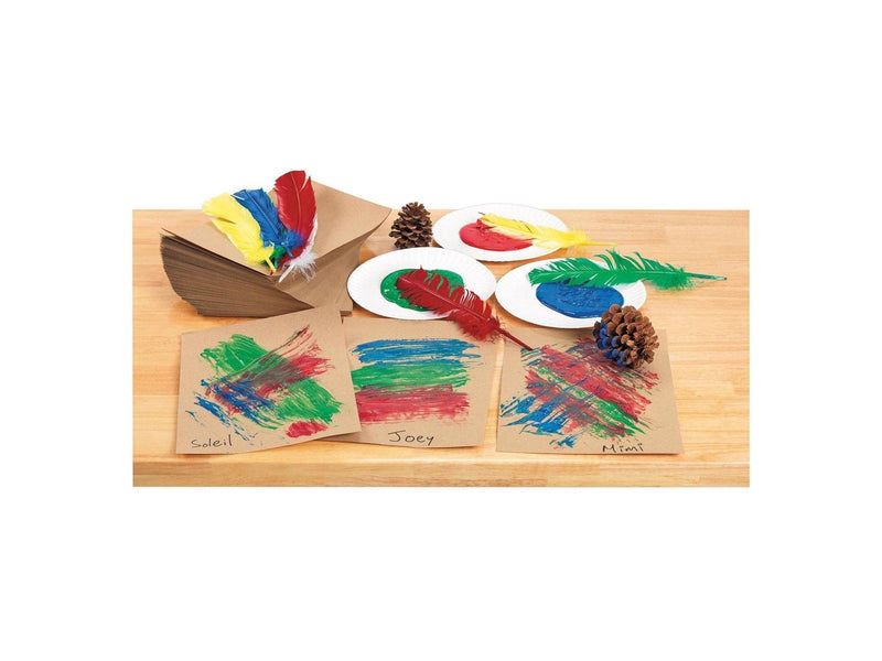 Colorations - Feathers 30cm Set of 24